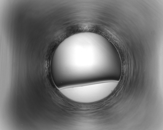 X0000093750605200710160812