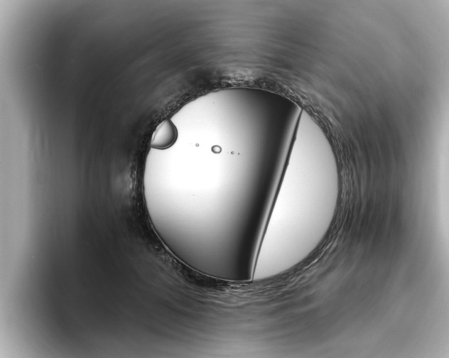 X0000093750608200710160812