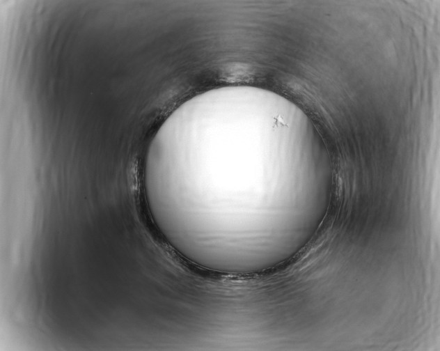 X0000093750620200710160811