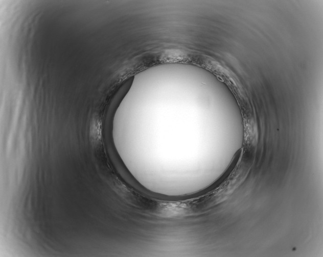 X0000093750621200710160811