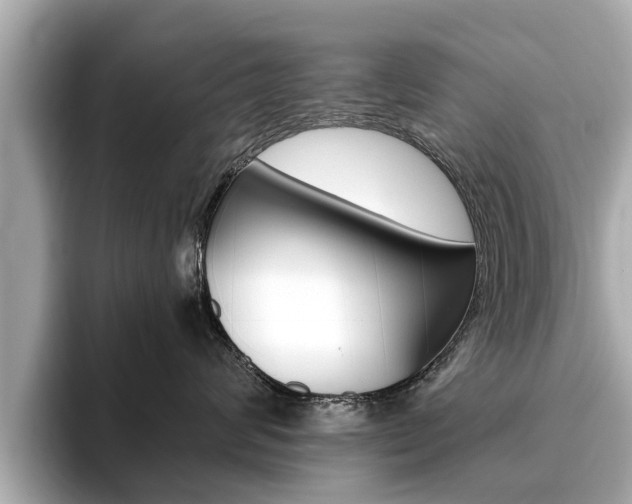 X0000093750624200710160811