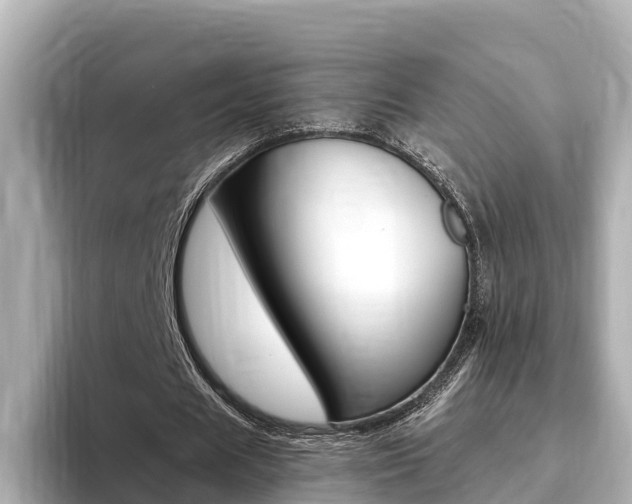 X0000093750625200710160811