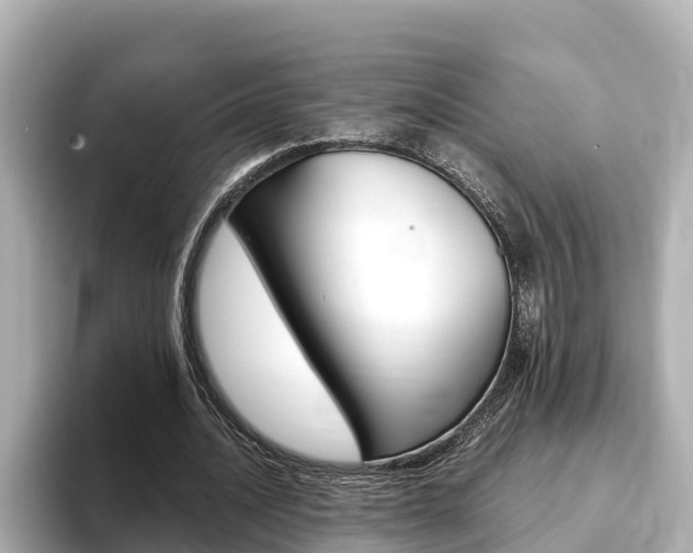 X0000093750628200710160811
