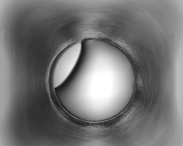 X0000093750630200710160811