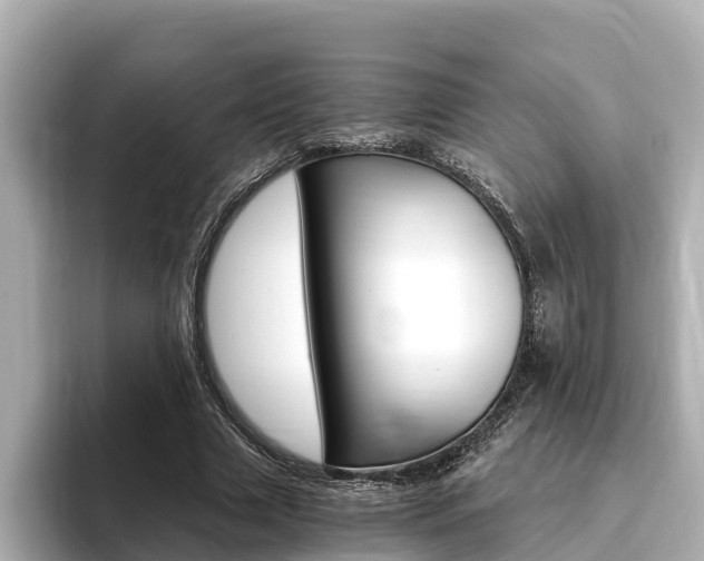 X0000093750633200710160811