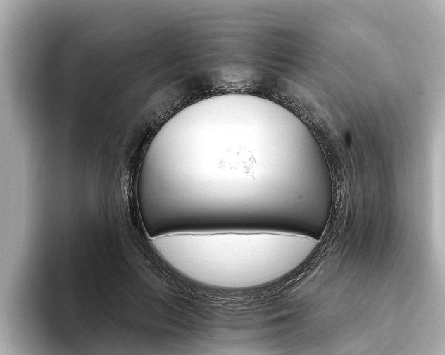 X0000093750647200710160811