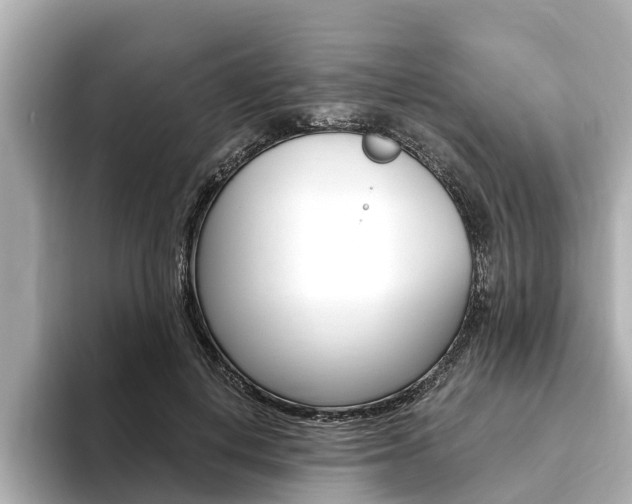 X0000093750648200710160811