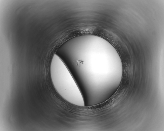 X0000093750649200710160811
