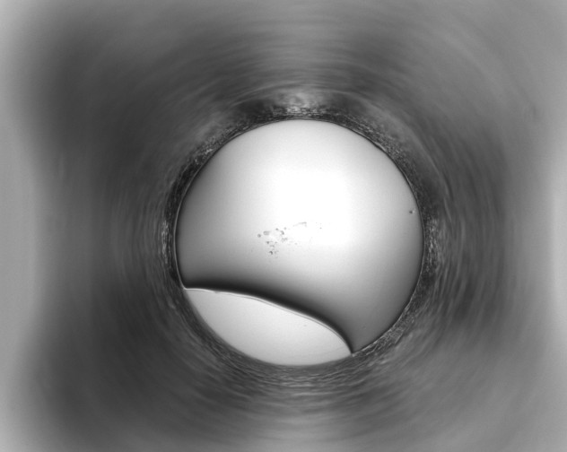 X0000093750650200710160811
