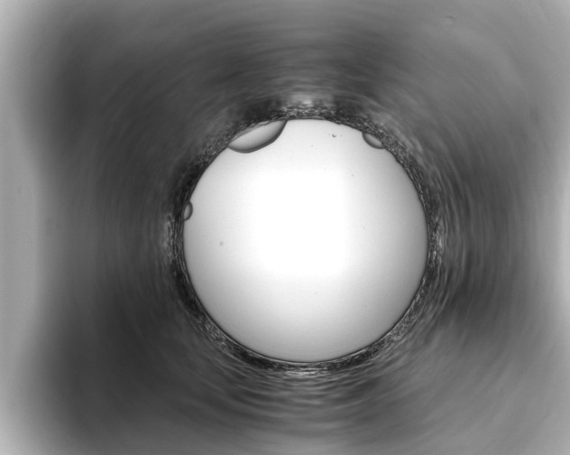 X0000093750659200710160811