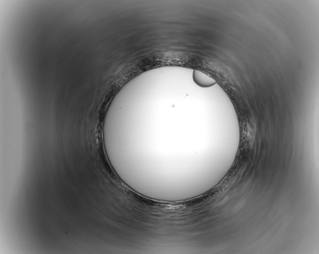 X0000093750663200710160811
