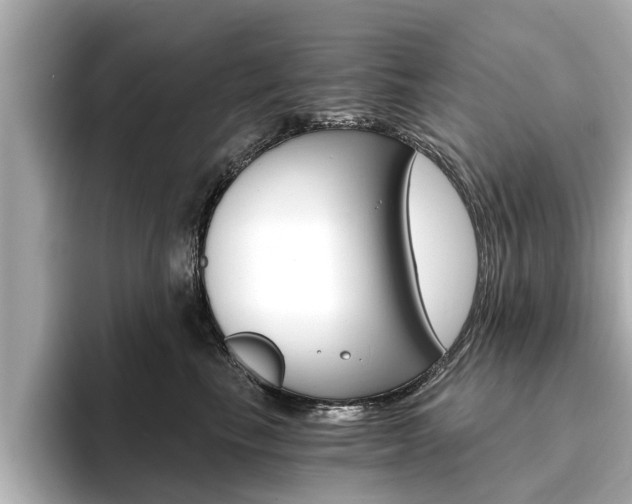X0000093750665200710160811