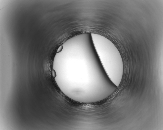 X0000093750666200710160811