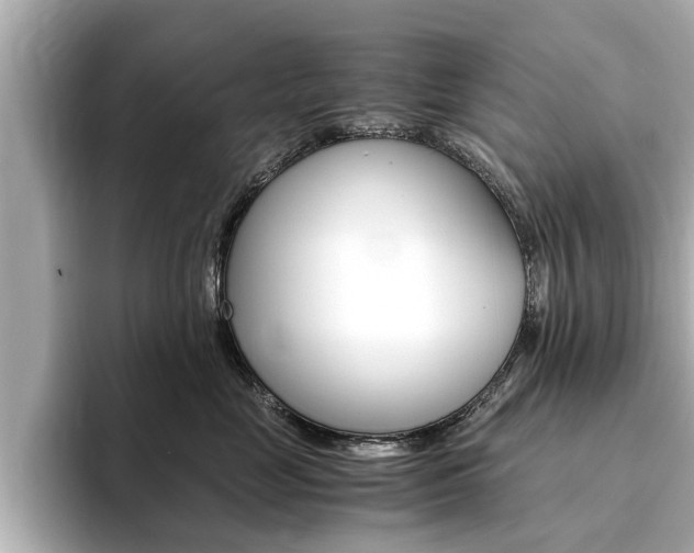 X0000093750669200710160811