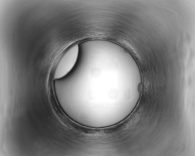 X0000093750674200710160811