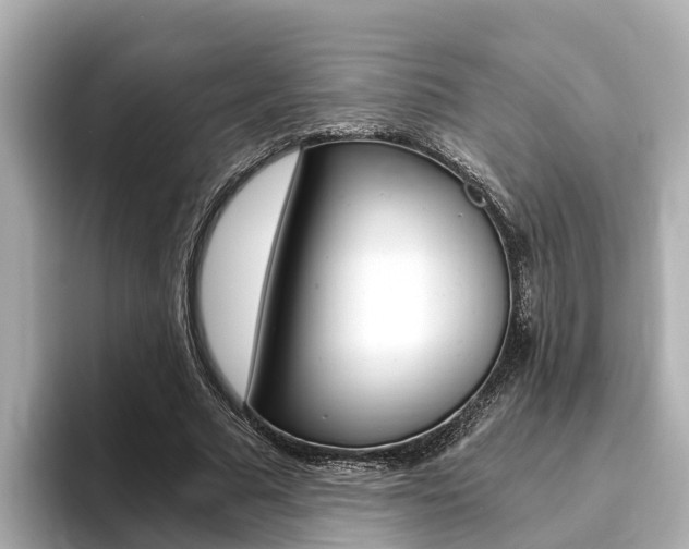X0000093750681200710160811