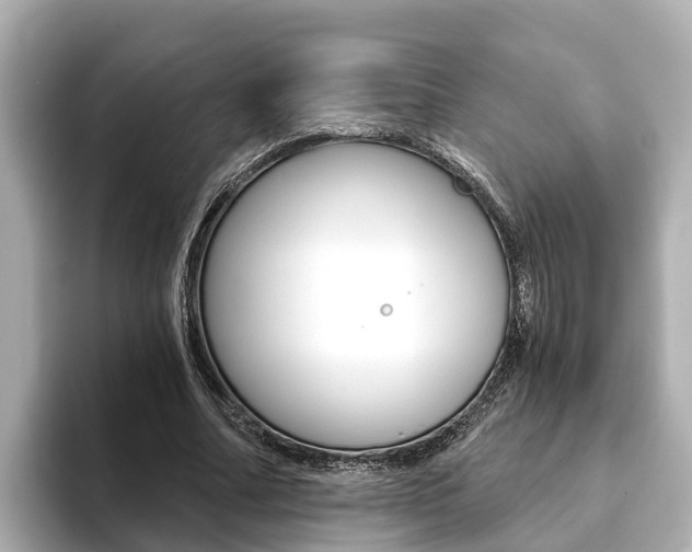 X0000093750682200710160811