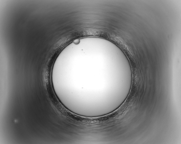 X0000093750683200710160811