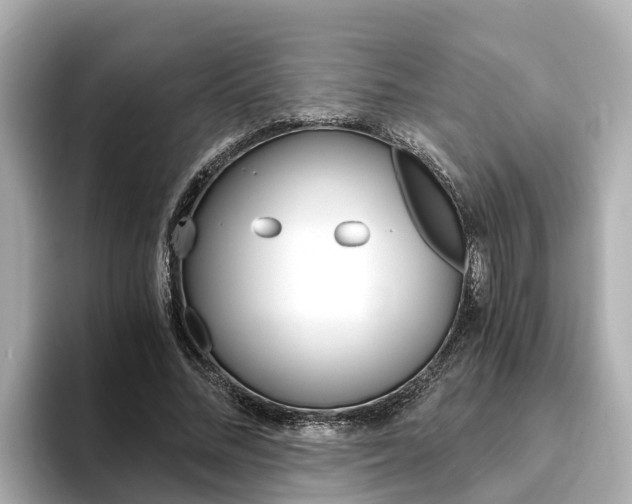 X0000093750684200710160811