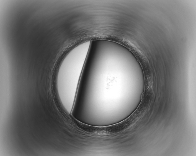 X0000093750685200710160811
