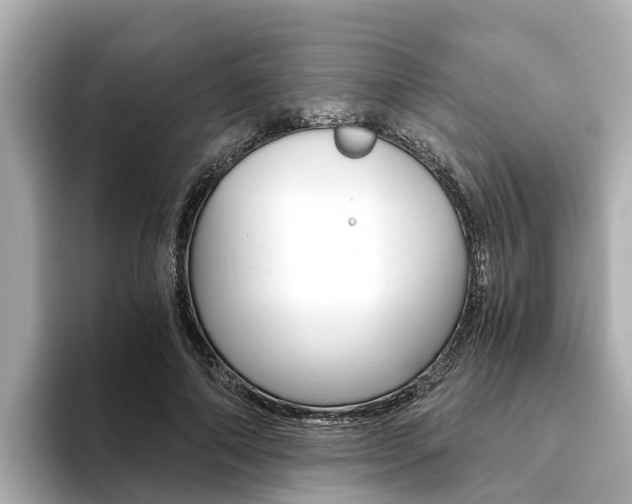 X0000093750690200710160811