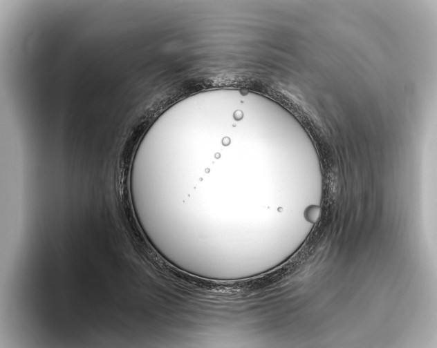 X0000093750691200710160811