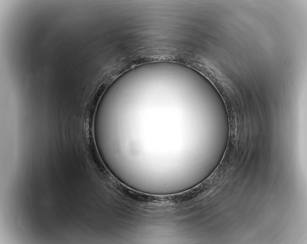 X0000093750696200710160810