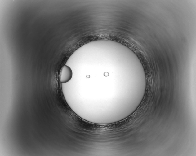 X0000093750702200710160810