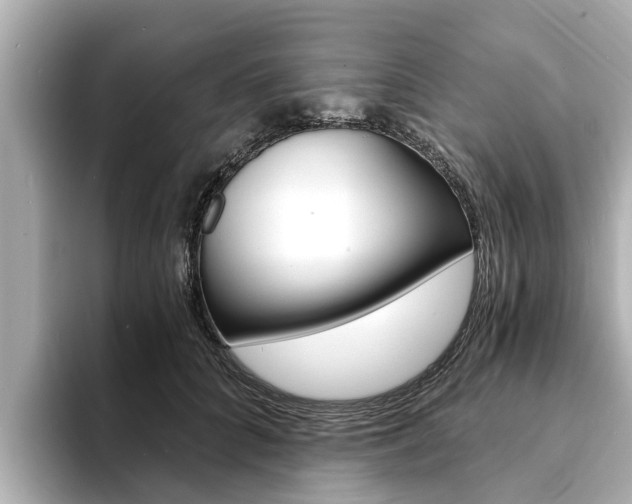 X0000093750704200710160810