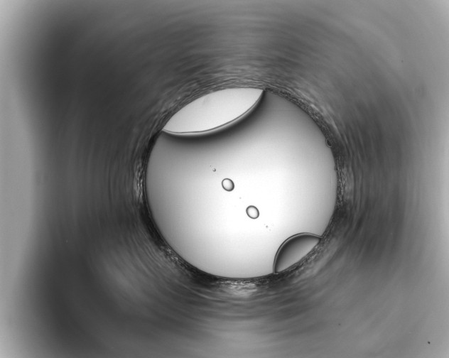 X0000093750719200710160810