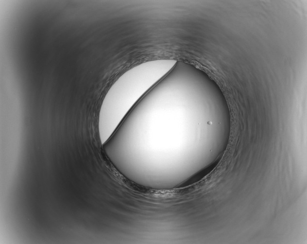 X0000093750720200710160810