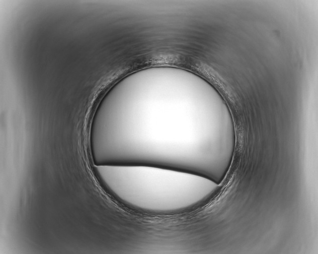 X0000093750721200710160810