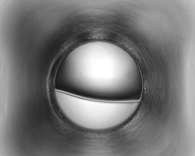 X0000093750722200710160810