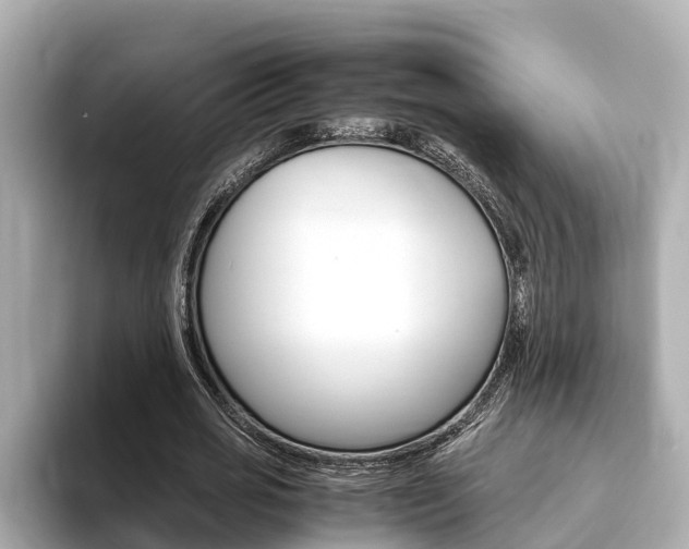 X0000093750725200710160810