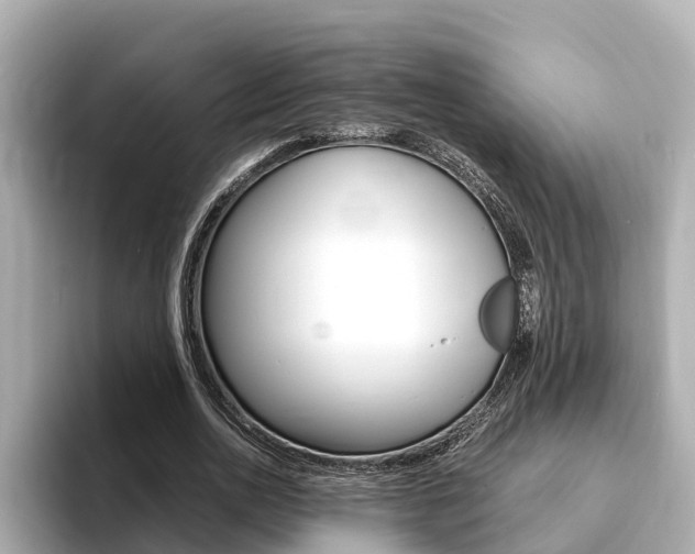 X0000093750726200710160810
