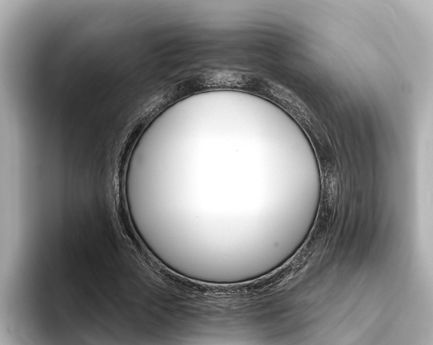 X0000093750729200710160810