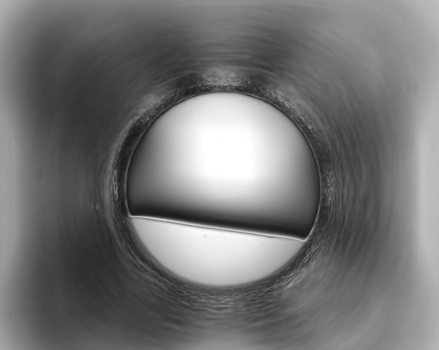 X0000093750731200710160810