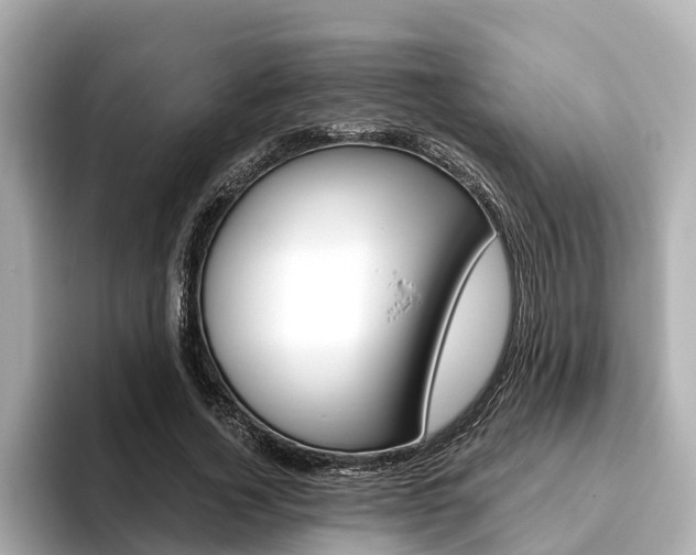 X0000093750732200710160810