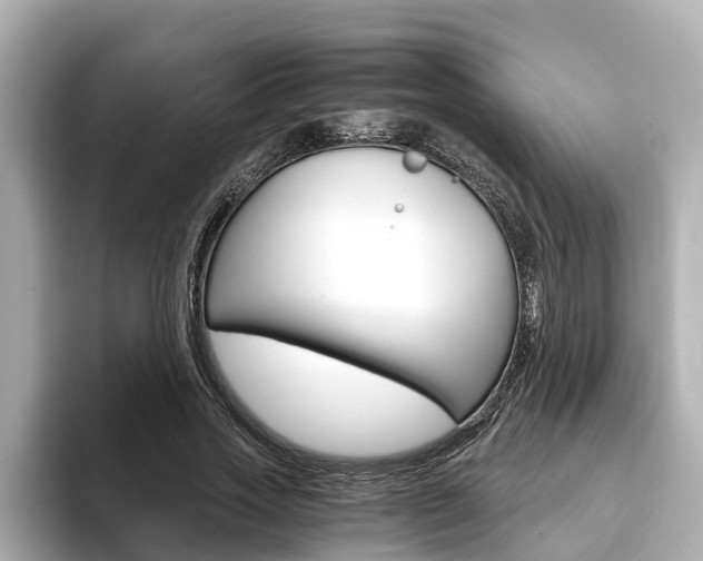 X0000093750733200710160810