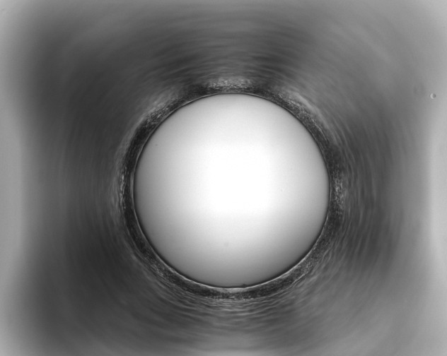 X0000093750735200710160810