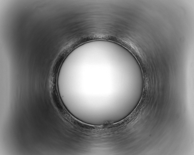 X0000093750736200710160810