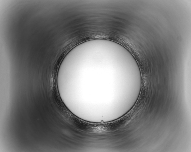 X0000093750741200710160810