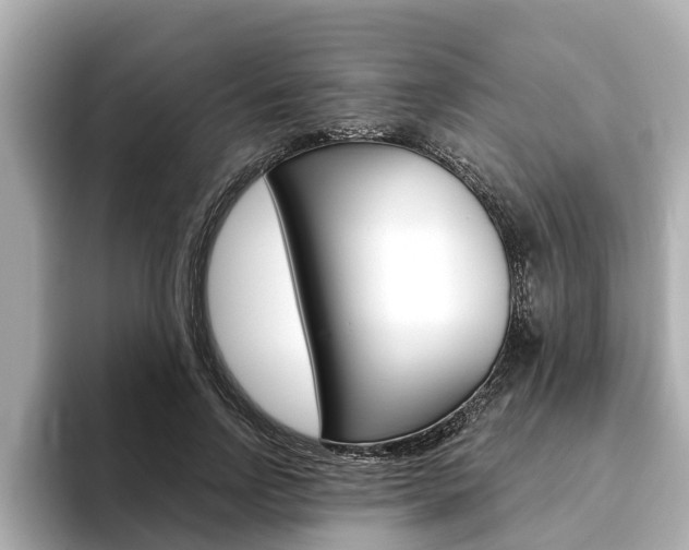 X0000093750742200710160810