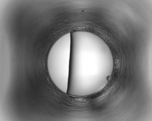 X0000093750753200710160810