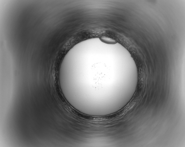 X0000093750758200710160810