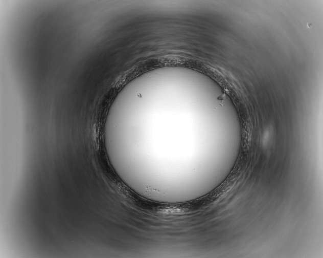 X0000093750759200710160810
