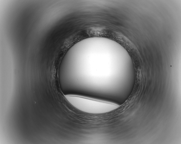 X0000093750760200710160810