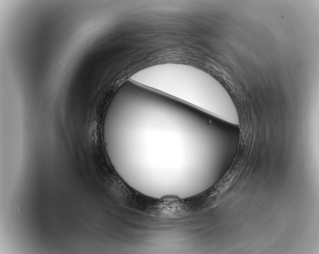 X0000093750762200710160810