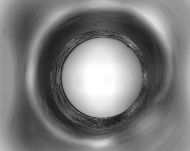 X0000093750765200710160810