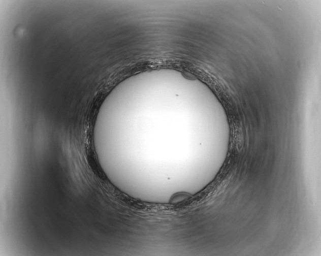 X0000093750770200710160810